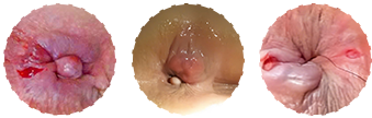 banner hỏi báo giá