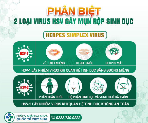 Hình ảnh mụn rộp – Nhận biết sớm triệu chứng, điều trị bệnh kịp thời